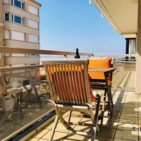 Knusse Studio Op Enkele Passen Van Het Strand